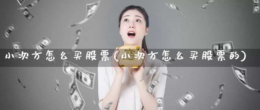 小次方怎么买股票(小次方怎么买股票的)_https://www.zzcnk.com_股票_第1张