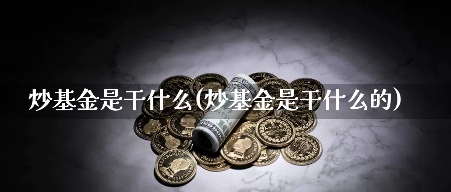 炒基金是干什么(炒基金是干什么的)_https://www.zzcnk.com_基金_第1张