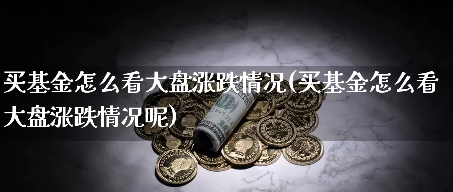 买基金怎么看大盘涨跌情况(买基金怎么看大盘涨跌情况呢)_https://www.zzcnk.com_基金_第1张