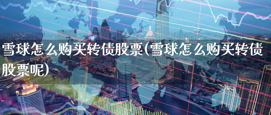 雪球怎么购买转债股票(雪球怎么购买转债股票呢)_https://www.zzcnk.com_股票_第1张