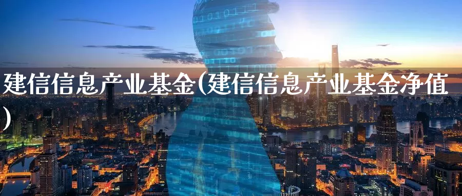 建信信息产业基金(建信信息产业基金净值)_https://www.zzcnk.com_股票_第1张