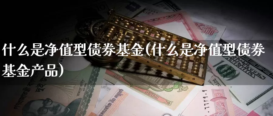 什么是净值型债券基金(什么是净值型债券基金产品)_https://www.zzcnk.com_基金_第1张