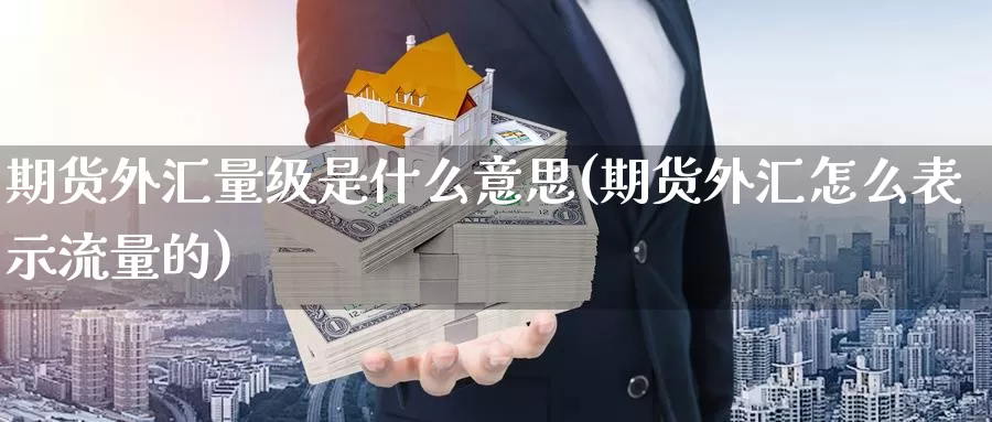 期货外汇量级是什么意思(期货外汇怎么表示流量的)_https://www.zzcnk.com_期货_第1张