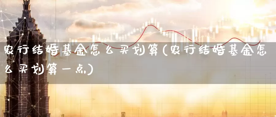 农行结婚基金怎么买划算(农行结婚基金怎么买划算一点)_https://www.zzcnk.com_基金_第1张