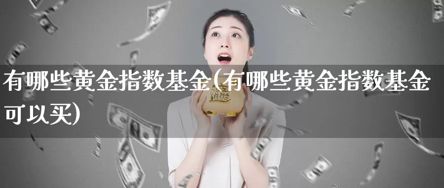 有哪些黄金指数基金(有哪些黄金指数基金可以买)_https://www.zzcnk.com_财经_第1张
