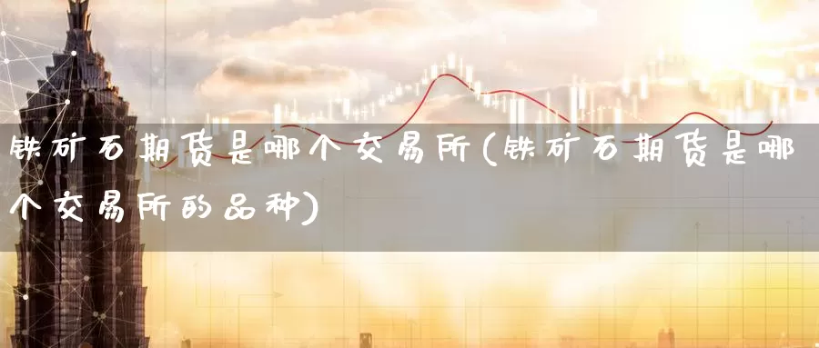 铁矿石期货是哪个交易所(铁矿石期货是哪个交易所的品种)_https://www.zzcnk.com_期货直播_第1张