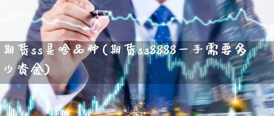 期货ss是啥品种(期货ss8888一手需要多少资金)_https://www.zzcnk.com_恒生指数_第1张