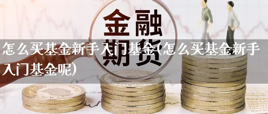 怎么买基金新手入门基金(怎么买基金新手入门基金呢)_https://www.zzcnk.com_基金_第1张