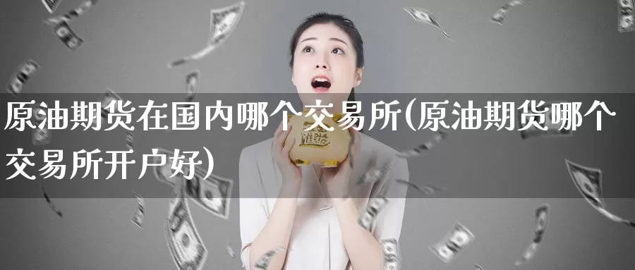 原油期货在国内哪个交易所(原油期货哪个交易所开户好)_https://www.zzcnk.com_股指期货_第1张