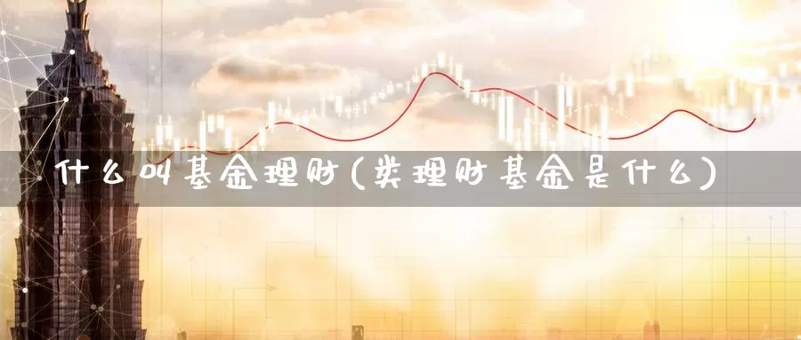 什么叫基金理财(类理财基金是什么)_https://www.zzcnk.com_股指期货_第1张