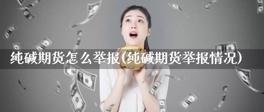 纯碱期货怎么举报(纯碱期货举报情况)_https://www.zzcnk.com_纳指期货_第1张