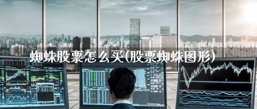蜘蛛股票怎么买(股票蜘蛛图形)_https://www.zzcnk.com_财经_第1张