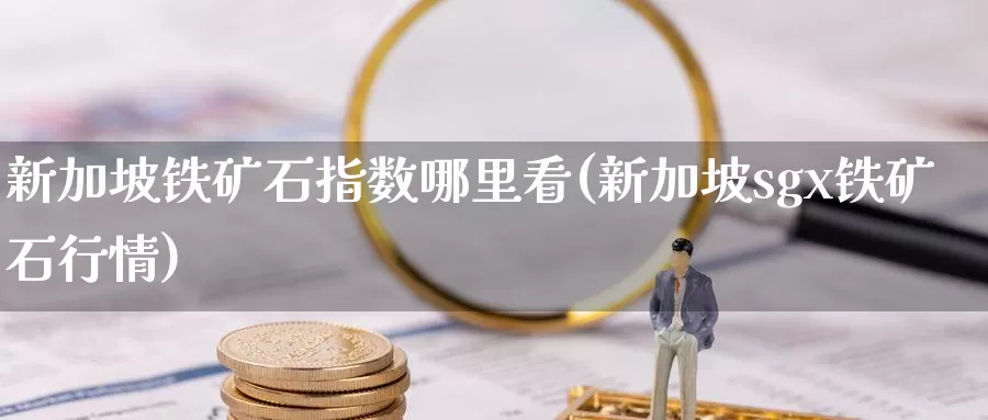 新加坡铁矿石指数哪里看(新加坡sgx铁矿石行情)_https://www.zzcnk.com_期货百科_第1张