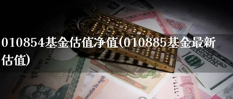 010854基金估值净值(010885基金最新估值)_https://www.zzcnk.com_原油期货_第1张