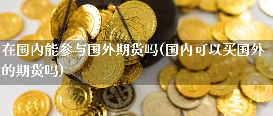 在国内能参与国外期货吗(国内可以买国外的期货吗)_https://www.zzcnk.com_原油期货_第1张