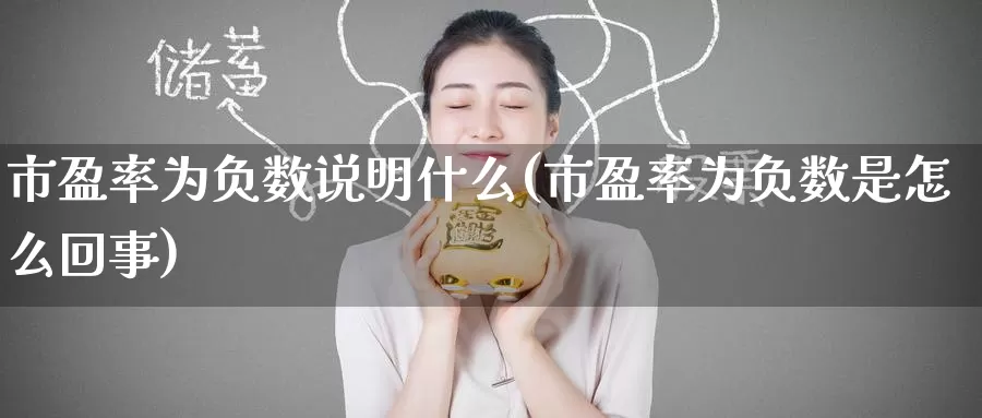市盈率为负数说明什么(市盈率为负数是怎么回事)_https://www.zzcnk.com_期货直播_第1张