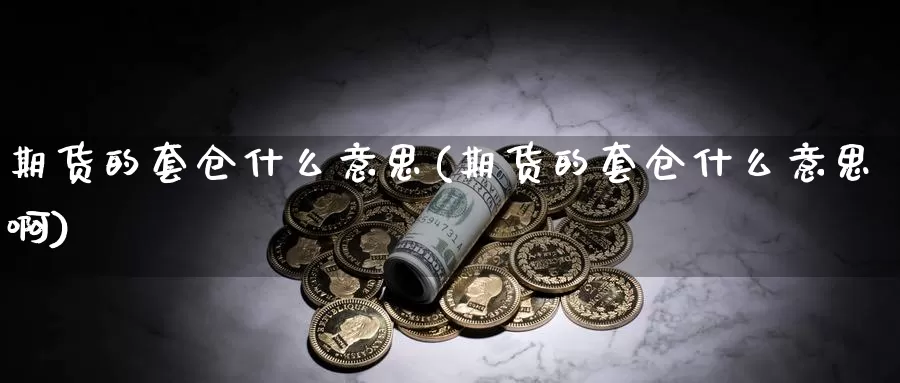 期货的套仓什么意思(期货的套仓什么意思啊)_https://www.zzcnk.com_纳指期货_第1张