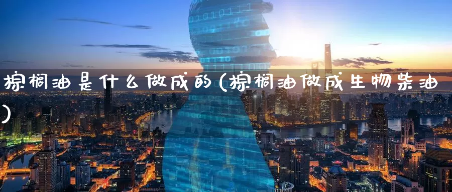 棕榈油是什么做成的(棕榈油做成生物柴油)_https://www.zzcnk.com_原油期货_第1张
