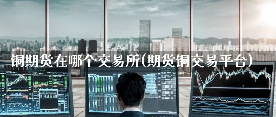 铜期货在哪个交易所(期货铜交易平台)_https://www.zzcnk.com_期货百科_第1张