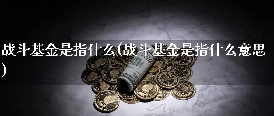 战斗基金是指什么(战斗基金是指什么意思)_https://www.zzcnk.com_财经_第1张