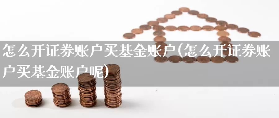 怎么开证券账户买基金账户(怎么开证券账户买基金账户呢)_https://www.zzcnk.com_基金_第1张