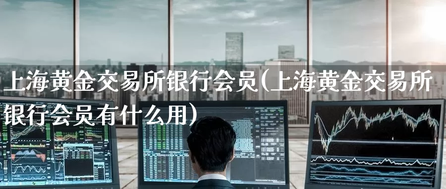 上海黄金交易所银行会员(上海黄金交易所银行会员有什么用)_https://www.zzcnk.com_恒生指数_第1张