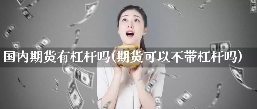 国内期货有杠杆吗(期货可以不带杠杆吗)_https://www.zzcnk.com_内盘期货_第1张