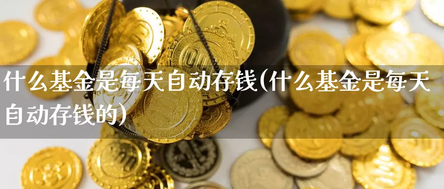 什么基金是每天自动存钱(什么基金是每天自动存钱的)_https://www.zzcnk.com_基金_第1张