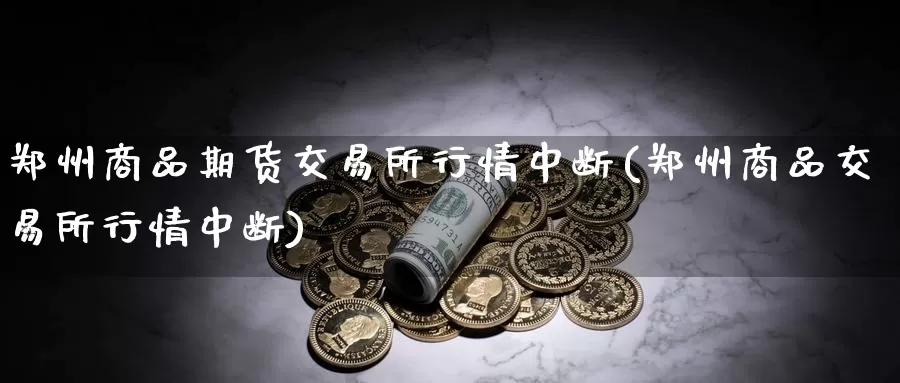 郑州商品期货交易所行情中断(郑州商品交易所行情中断)_https://www.zzcnk.com_恒生指数_第1张