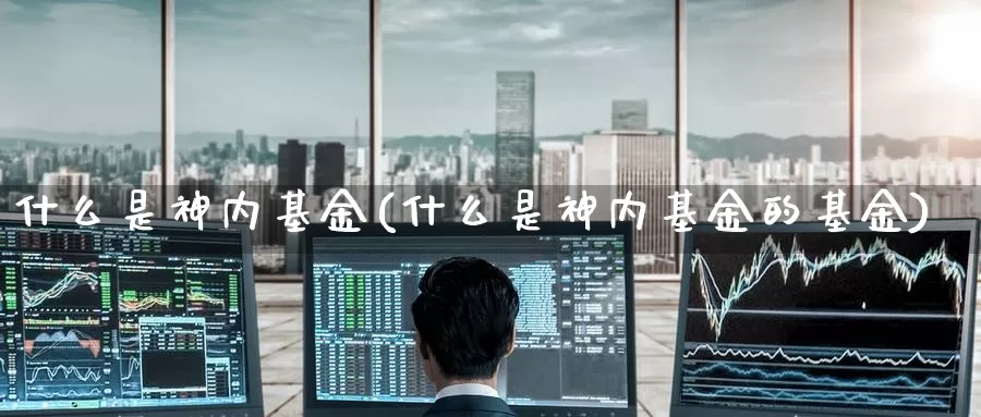 什么是神内基金(什么是神内基金的基金)_https://www.zzcnk.com_基金_第1张