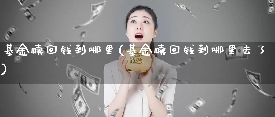 基金赎回钱到哪里(基金赎回钱到哪里去了)_https://www.zzcnk.com_股票_第1张