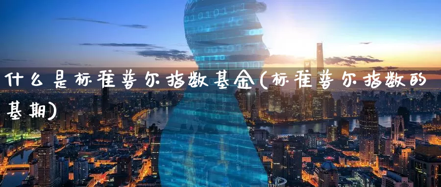 什么是标准普尔指数基金(标准普尔指数的基期)_https://www.zzcnk.com_基金_第1张