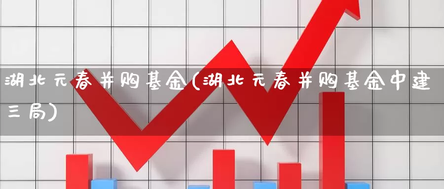 湖北元春并购基金(湖北元春并购基金中建三局)_https://www.zzcnk.com_期货_第1张