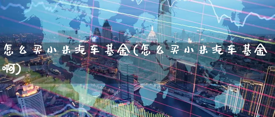 怎么买小米汽车基金(怎么买小米汽车基金啊)_https://www.zzcnk.com_基金_第1张