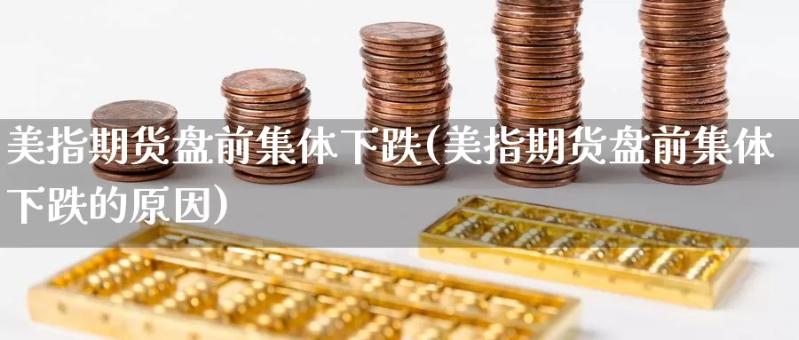 美指期货盘前集体下跌(美指期货盘前集体下跌的原因)_https://www.zzcnk.com_纳指期货_第1张