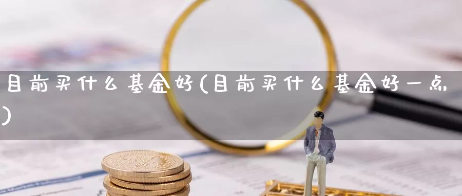 目前买什么基金好(目前买什么基金好一点)_https://www.zzcnk.com_财经_第1张