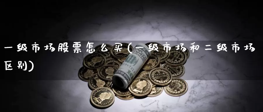 一级市场股票怎么买(一级市场和二级市场区别)_https://www.zzcnk.com_股票_第1张