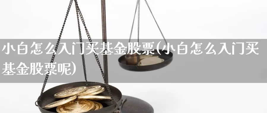 小白怎么入门买基金股票(小白怎么入门买基金股票呢)_https://www.zzcnk.com_基金_第1张