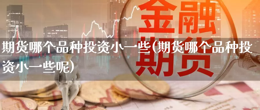期货哪个品种投资小一些(期货哪个品种投资小一些呢)_https://www.zzcnk.com_期货百科_第1张