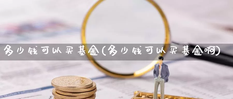 多少钱可以买基金(多少钱可以买基金啊)_https://www.zzcnk.com_基金_第1张