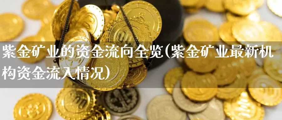 紫金矿业的资金流向全览(紫金矿业最新机构资金流入情况)_https://www.zzcnk.com_恒生指数_第1张