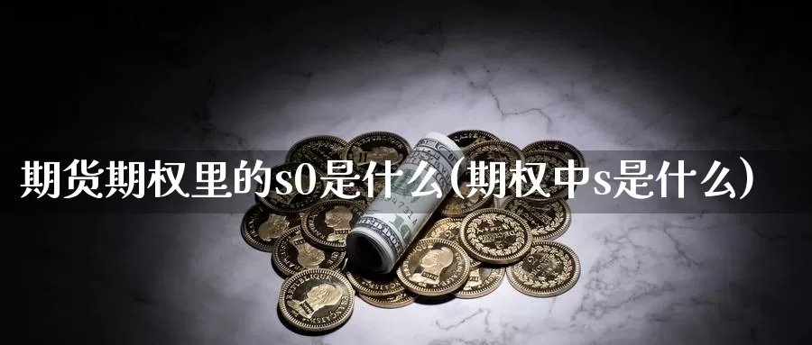 期货期权里的s0是什么(期权中s是什么)_https://www.zzcnk.com_原油期货_第1张