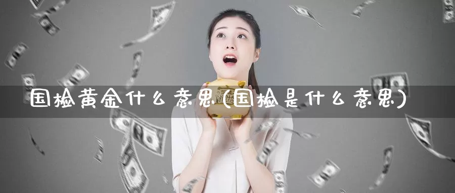 国检黄金什么意思(国检是什么意思)_https://www.zzcnk.com_理财_第1张