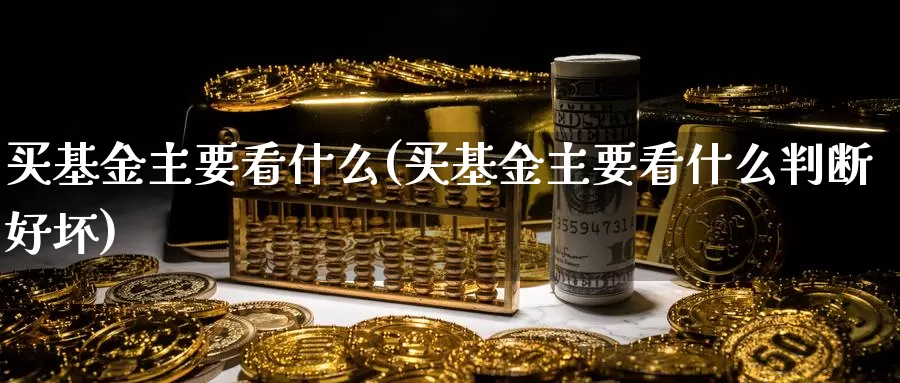 买基金主要看什么(买基金主要看什么判断好坏)_https://www.zzcnk.com_财经_第1张
