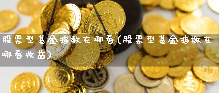 股票型基金指数在哪看(股票型基金指数在哪看收益)_https://www.zzcnk.com_理财_第1张