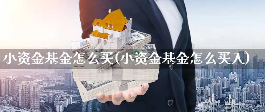 小资金基金怎么买(小资金基金怎么买入)_https://www.zzcnk.com_基金_第1张