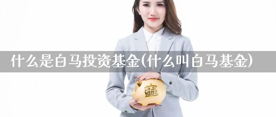 什么是白马投资基金(什么叫白马基金)_https://www.zzcnk.com_基金_第1张