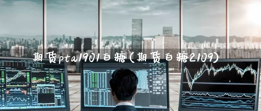 期货pta1901白糖(期货白糖2109)_https://www.zzcnk.com_恒生指数_第1张