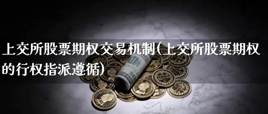 上交所股票期权交易机制(上交所股票期权的行权指派遵循)_https://www.zzcnk.com_股指期货_第1张