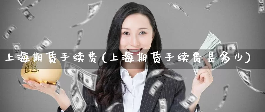 上海期货手续费(上海期货手续费是多少)_https://www.zzcnk.com_恒生指数_第1张